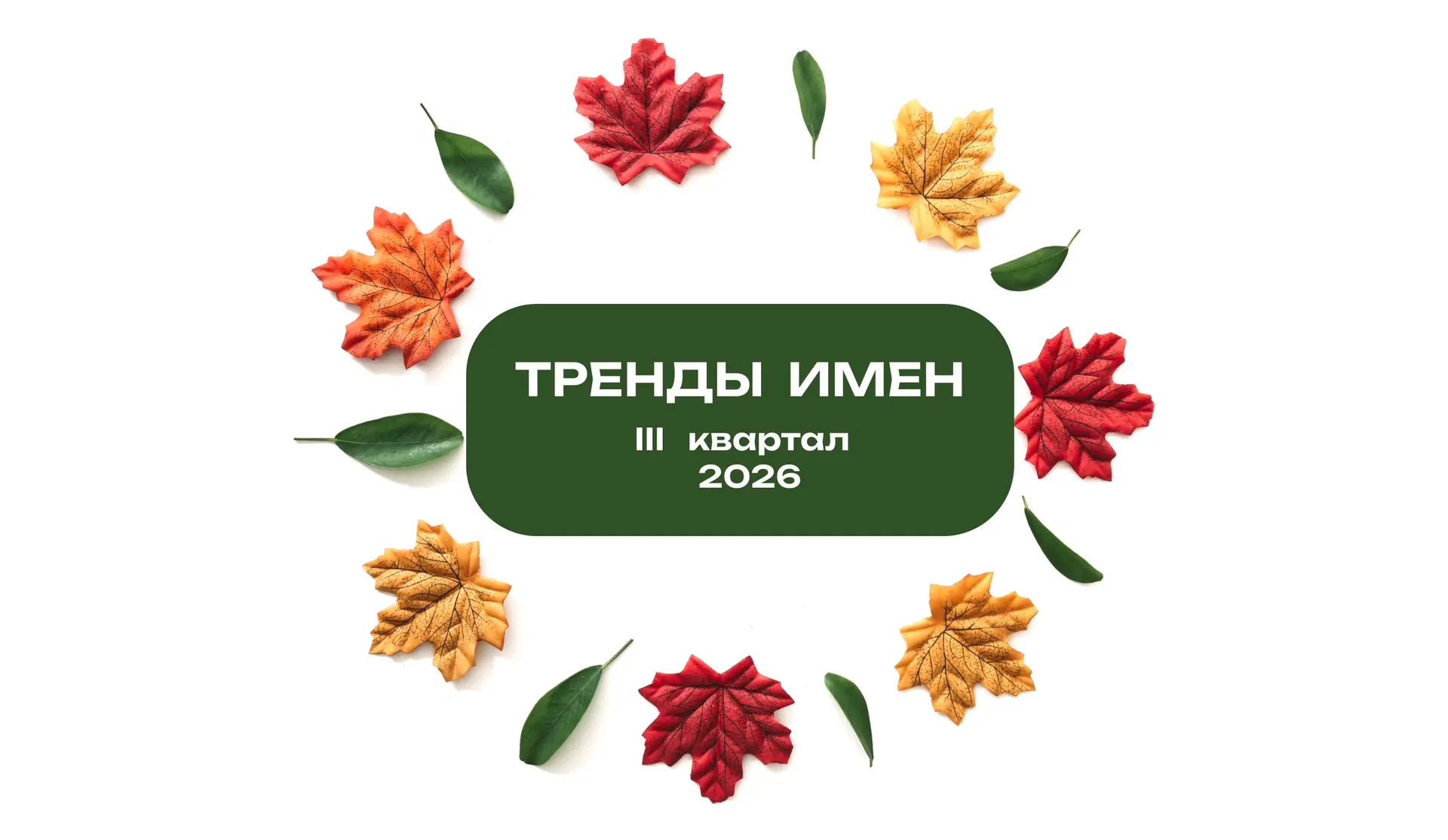 🍂🍁Тренды имён: ||| квартал 2026