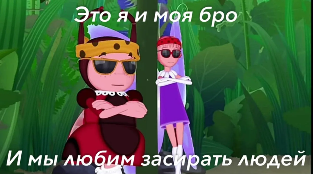*мы?