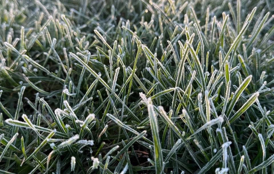 🥶 В Московском регионе зафиксировали первые заморозки