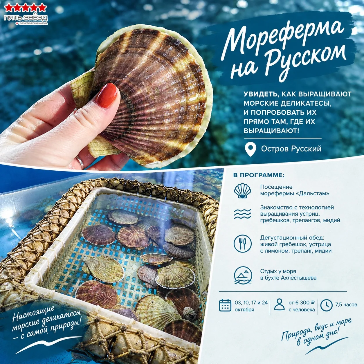 🦪 А вы когда-нибудь видели, как выращивают устриц, гребешков и трепанга?