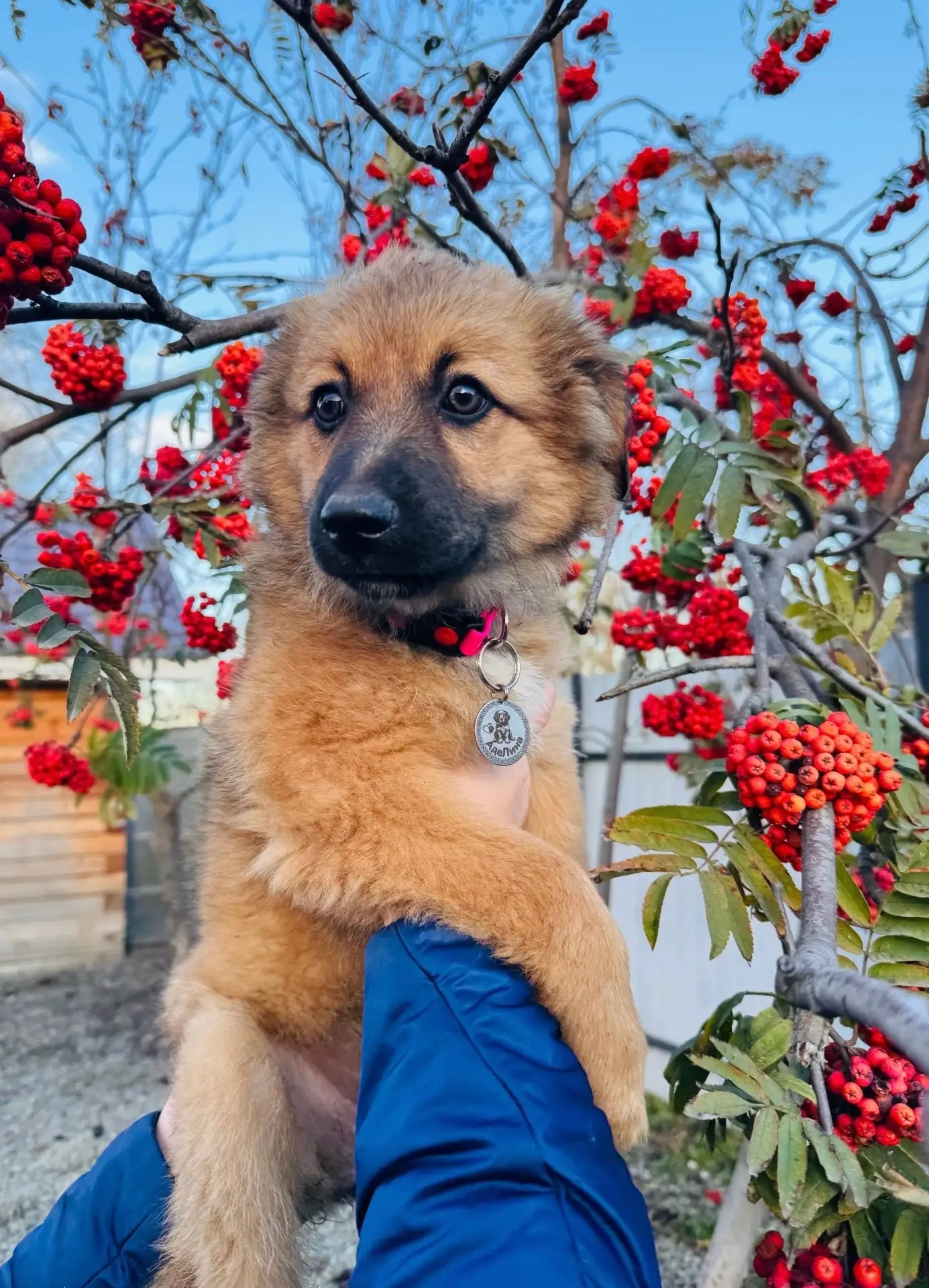 ♥️Аделина♥️