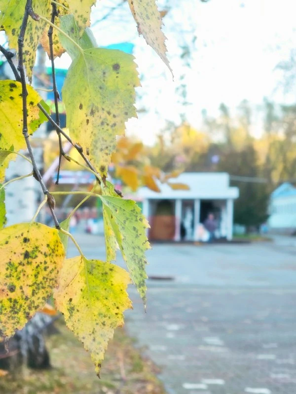 🏠 Парк Маяковского объявил конкурс на павильон с VR-аттракционами