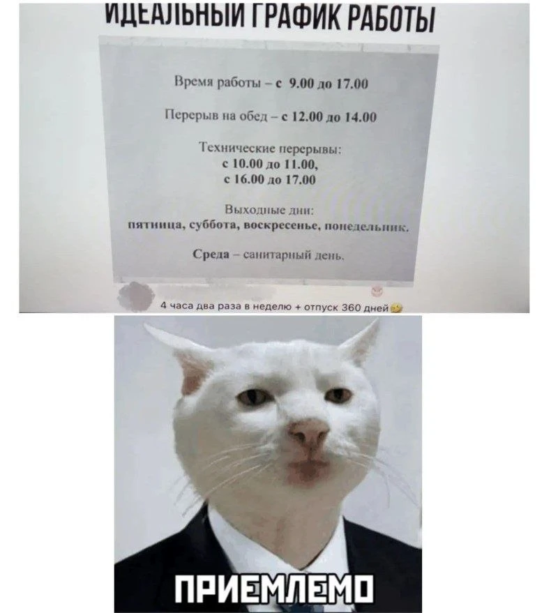 Хочу на эту работу, как найти?