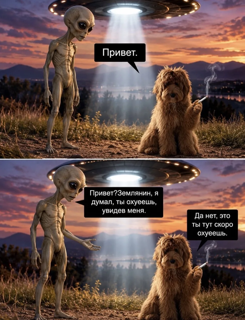 Доброго всем утра!😁