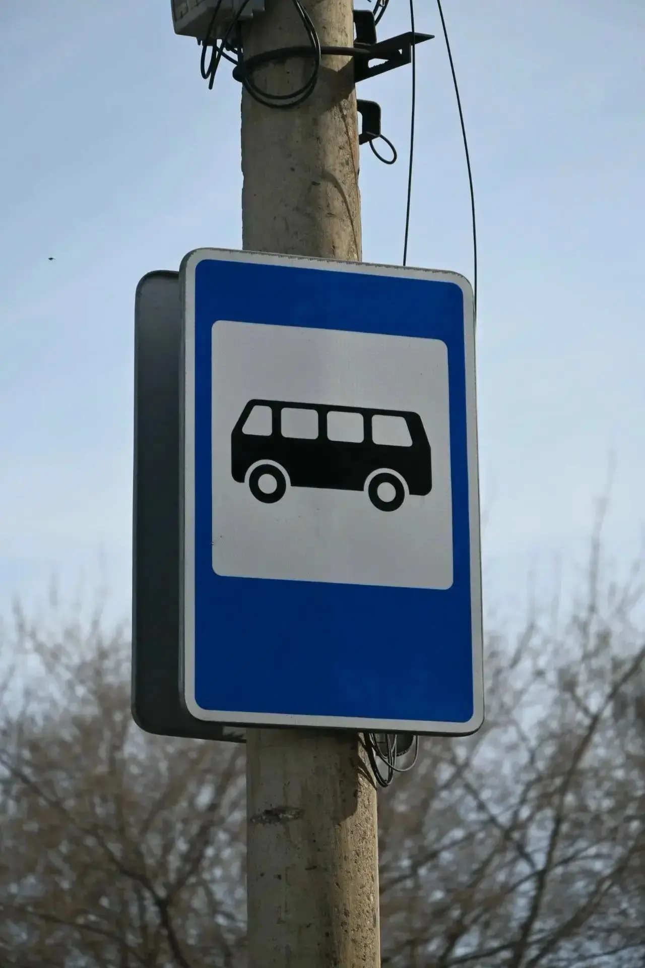 Автобусы