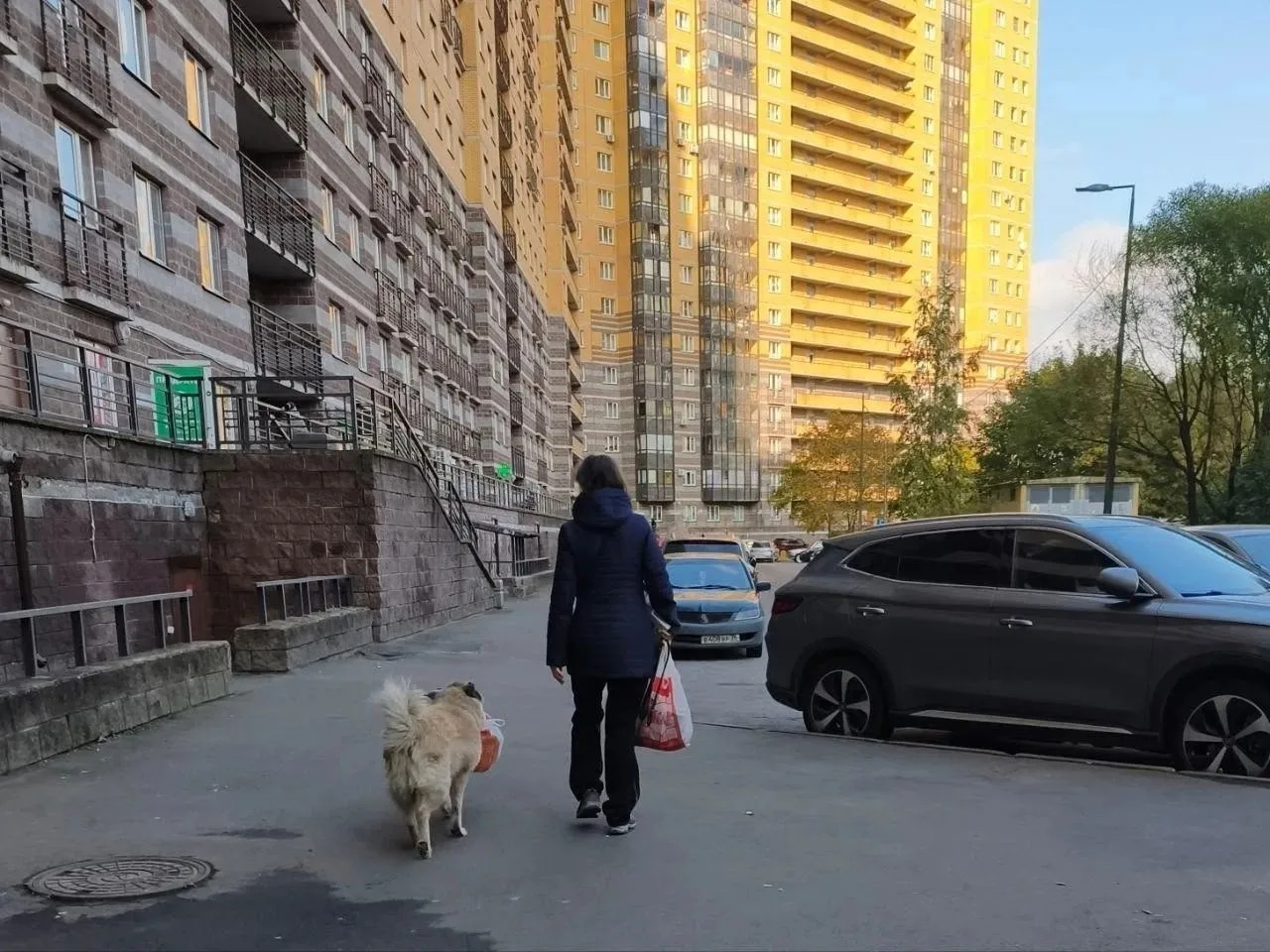 🐕 Пока люди спорят о чистоте, эти четвероногие уже всё показали
