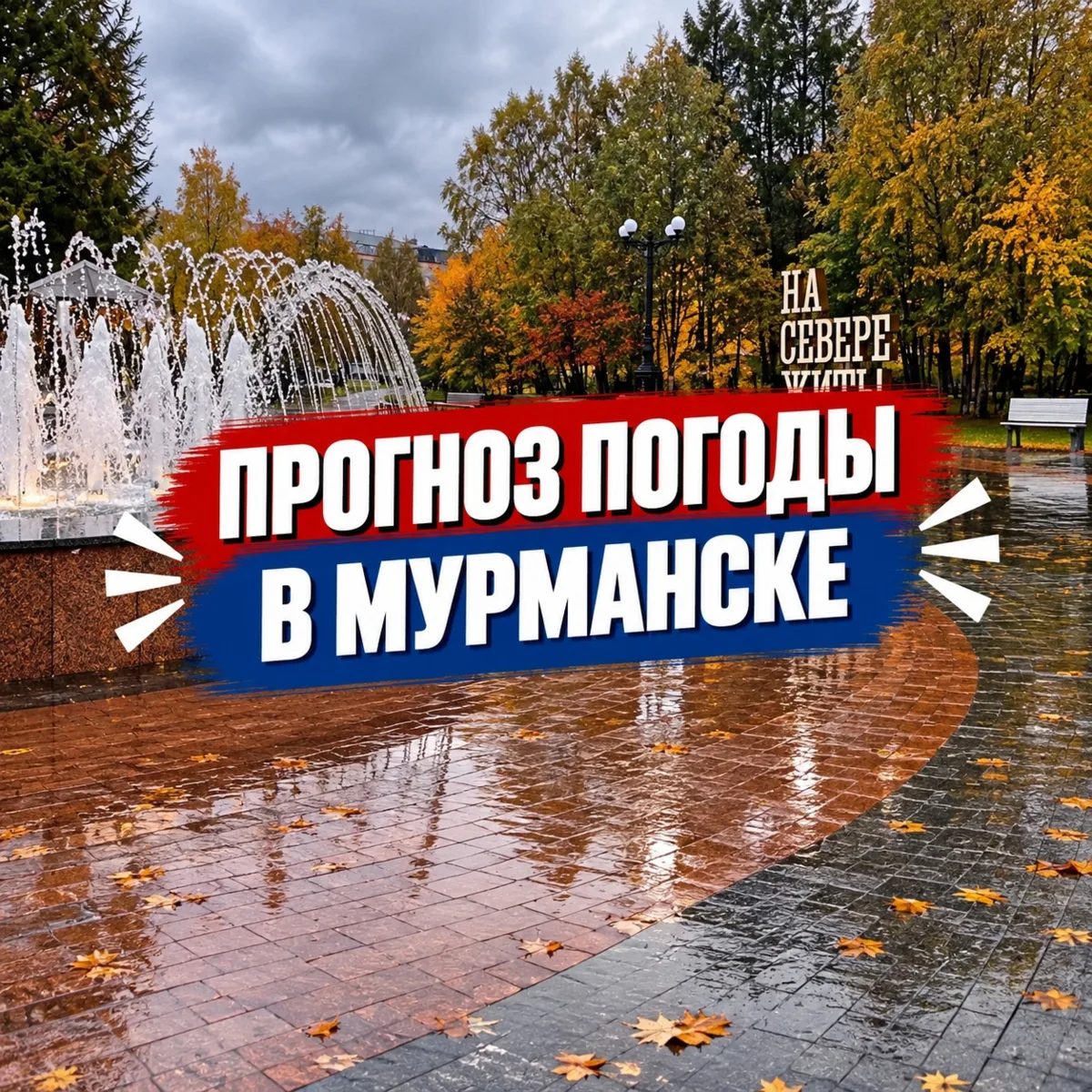 Доброе утро! 🍁