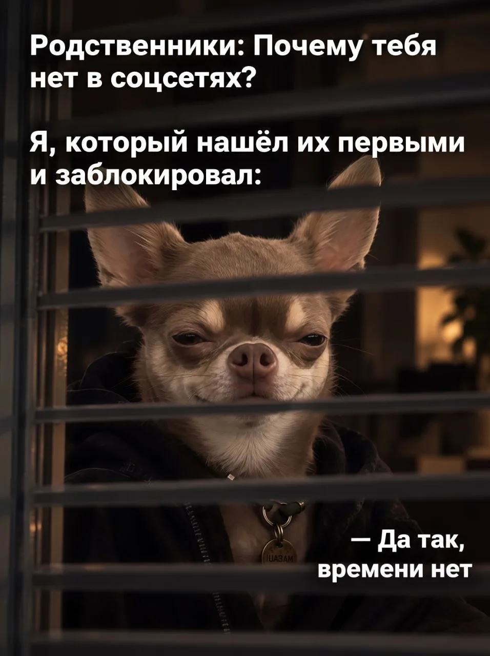👉 Юмор и мемы