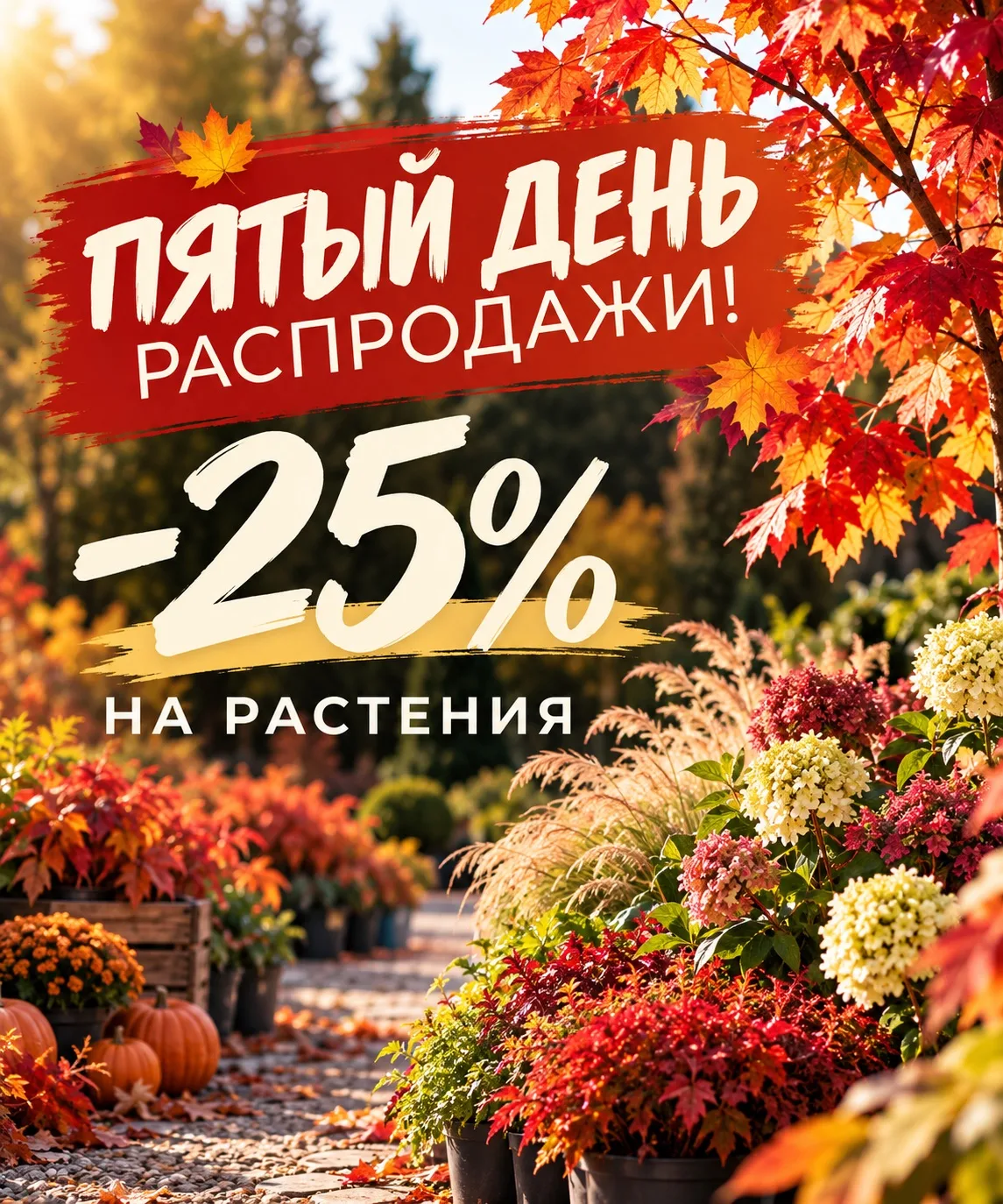🍁 ПЯТЫЙ ДЕНЬ БОЛЬШОЙ РАСПРОДАЖИ GARDENS!