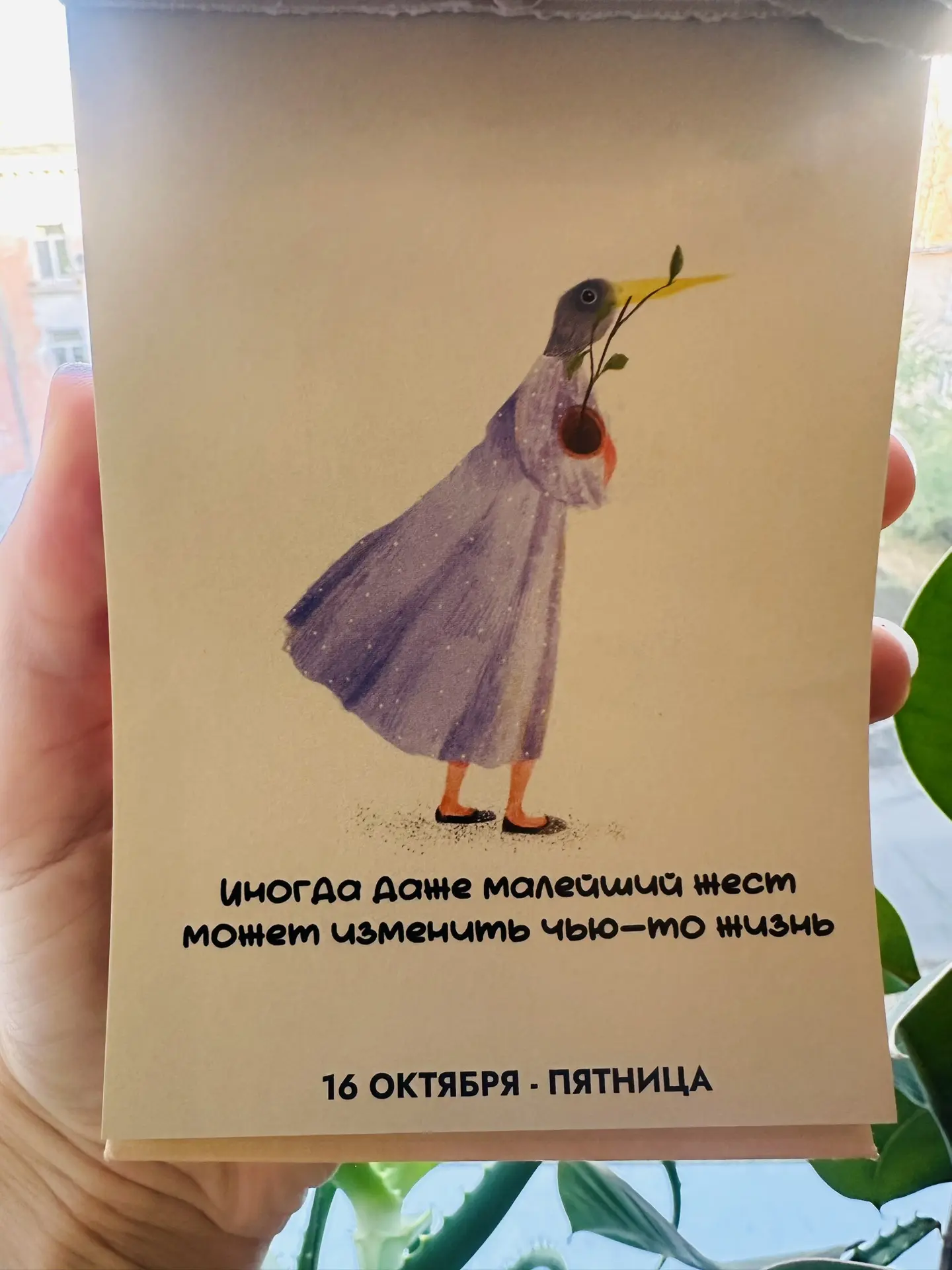 Доброе утро ☀️