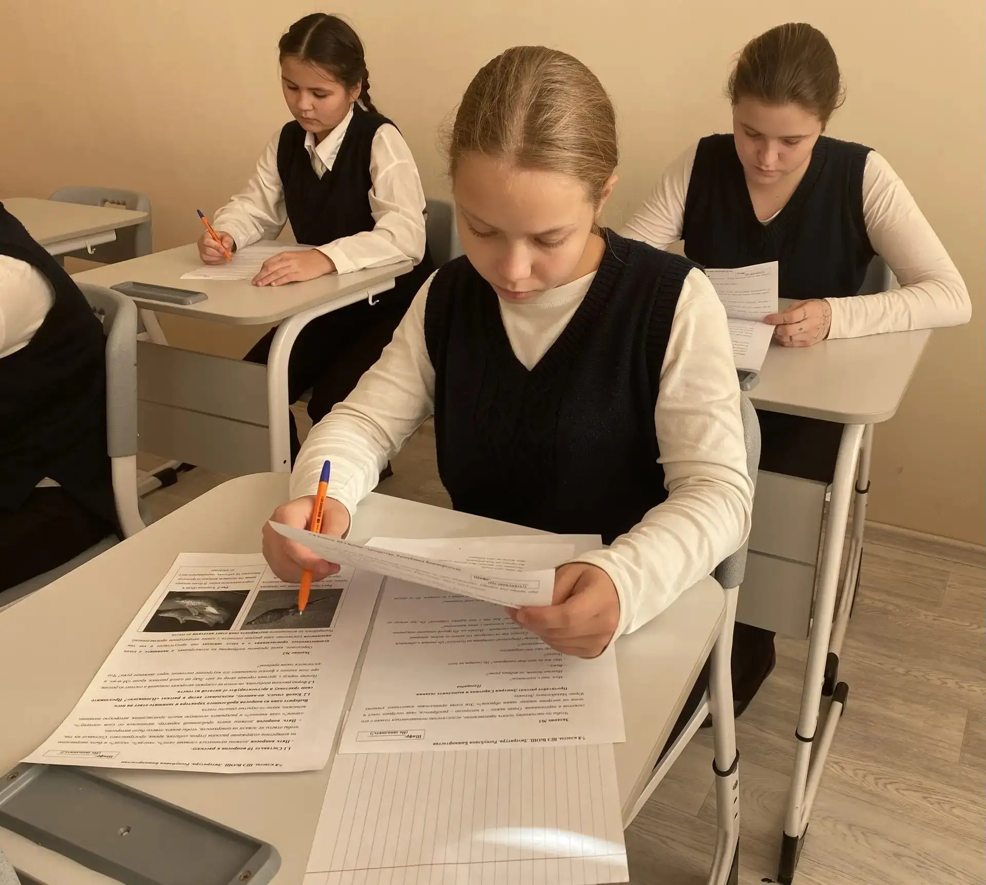 Школьный этап Всероссийской олимпиады школьников по литературе