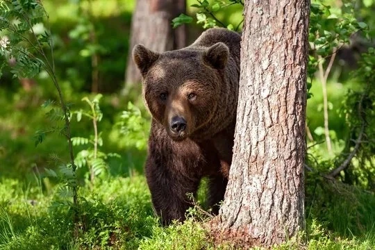 Уважаемые родители и законные представители несовершеннолетних!
