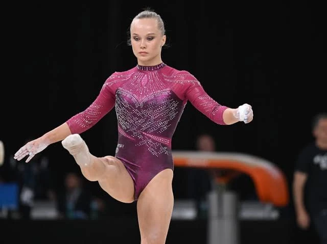 Нидерланды отказали лидерам российской сборной в визах для участия в чемпионате мира по...