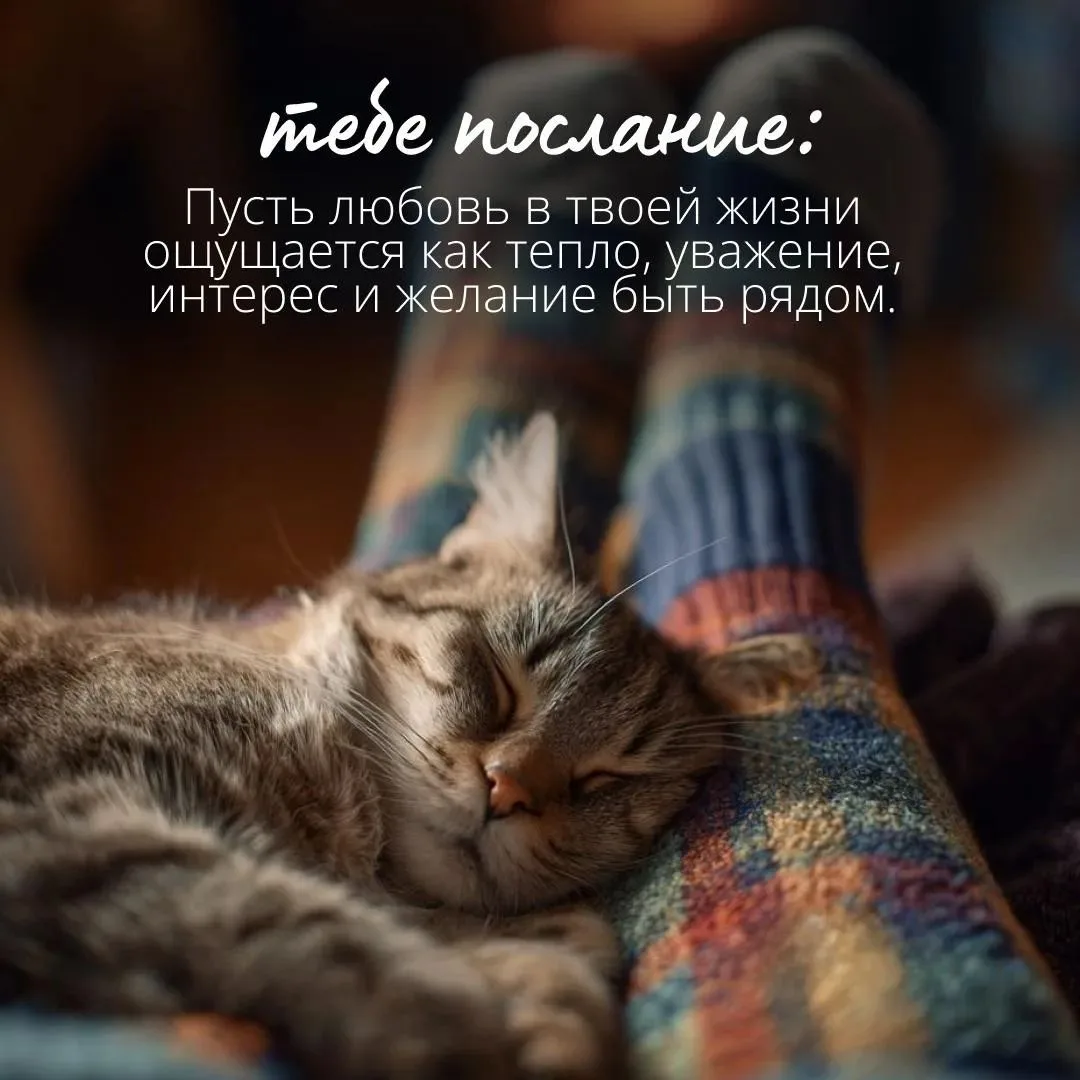 Самого прекрасного дня Венеры, Дорогие мои Друзья 🩷🩷🩷 день любви, красоты и женской ...
