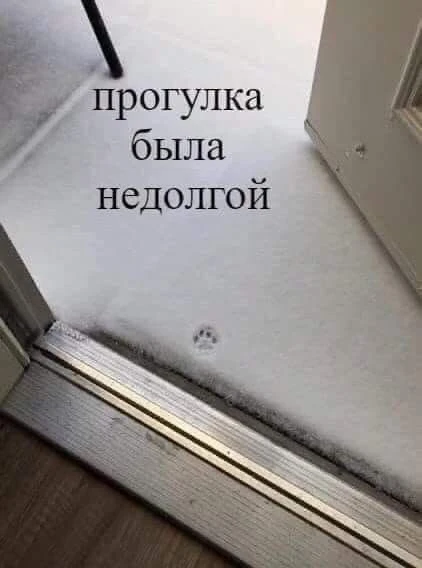 Снегопады и похолодание ожидаются в Забайкалье с 16 октября