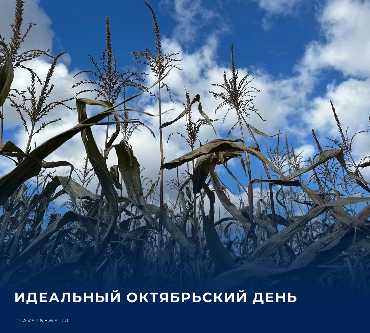 ☁️ 11 октября в регионе ожидается облачная погода. По данным синоптиков, температурный ...