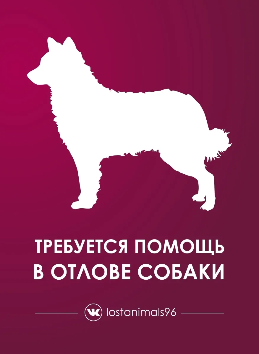 Друзья, помогите, пожалуйста! 🙏🙏🙏 Город Екатеринбург на Черняховского, 86 около гипе...