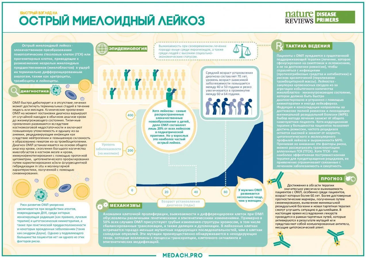 Острый миелоидный лейкоз