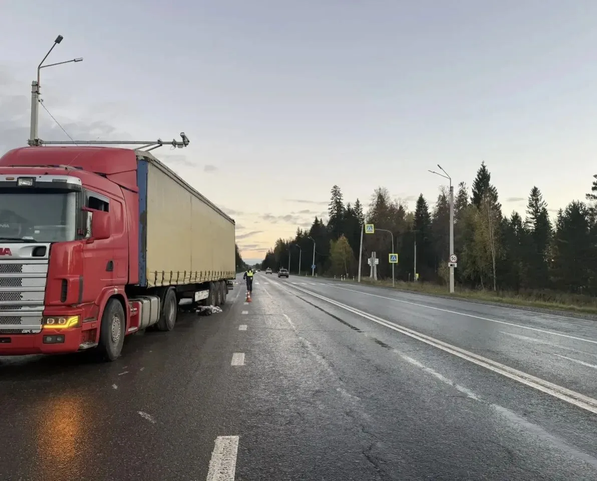 Восьмилетний мальчик погиб в результате наезда на пешеходном переходе. Момент ДТП.