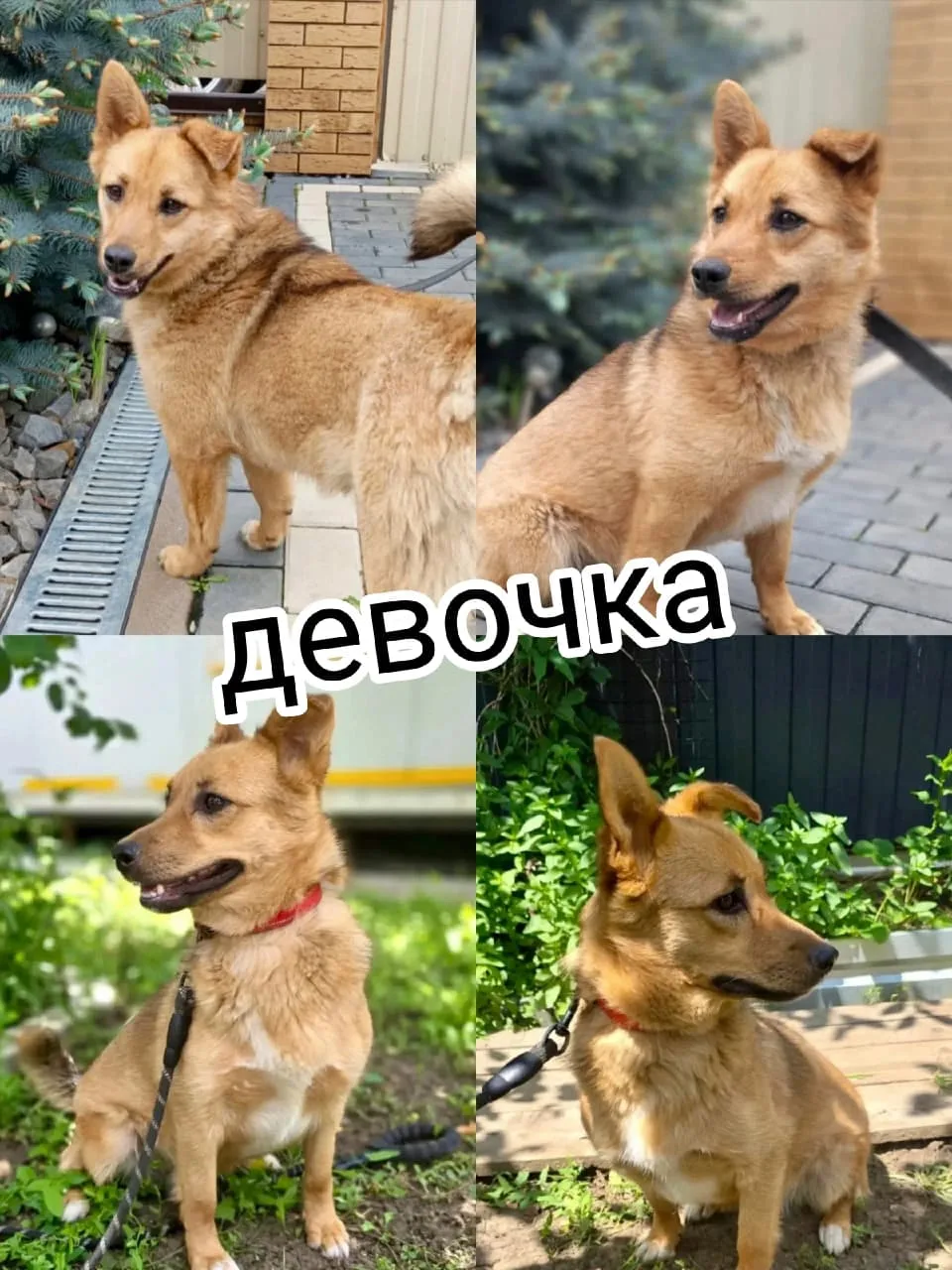 ❗Ростов-на-Дону и все города❗