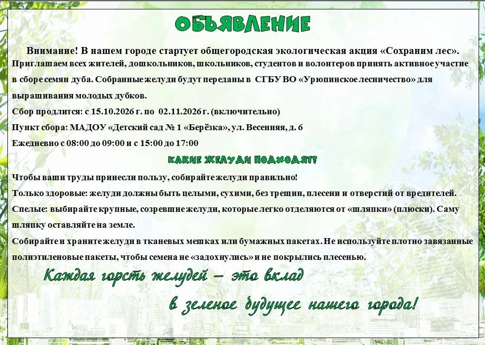 🌳Уважаемые родители!🍀
