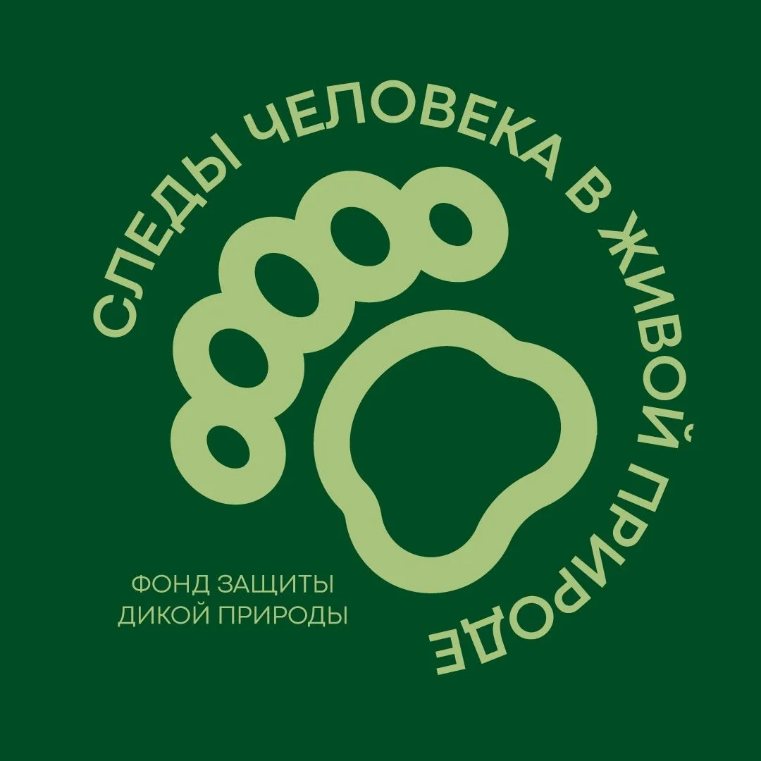 Жители Ординского округа могут повлиять на решение проблемы бездомных животных!