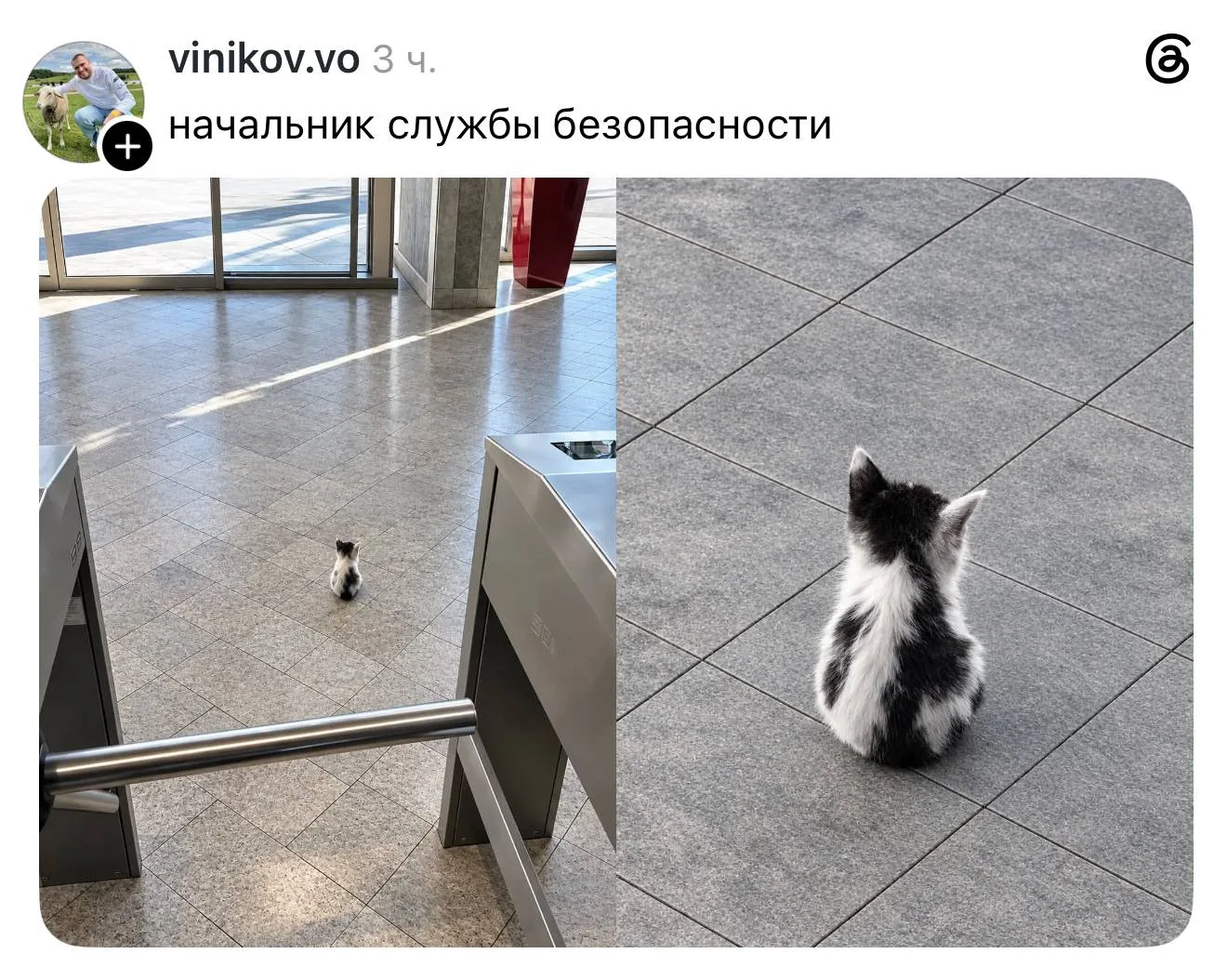 🥹 Объект под надеждой охраной
