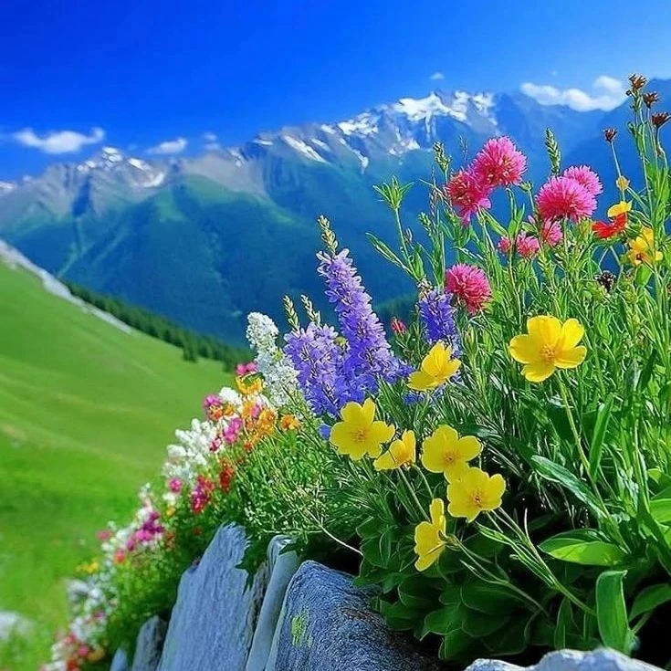 ❤️ Самые интересные и полезные каналы собраны в одном месте!