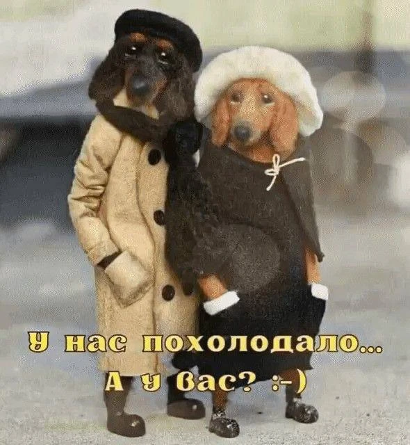 Доброе утро, дорогие мастера и рукодельницы! ☕️🍂