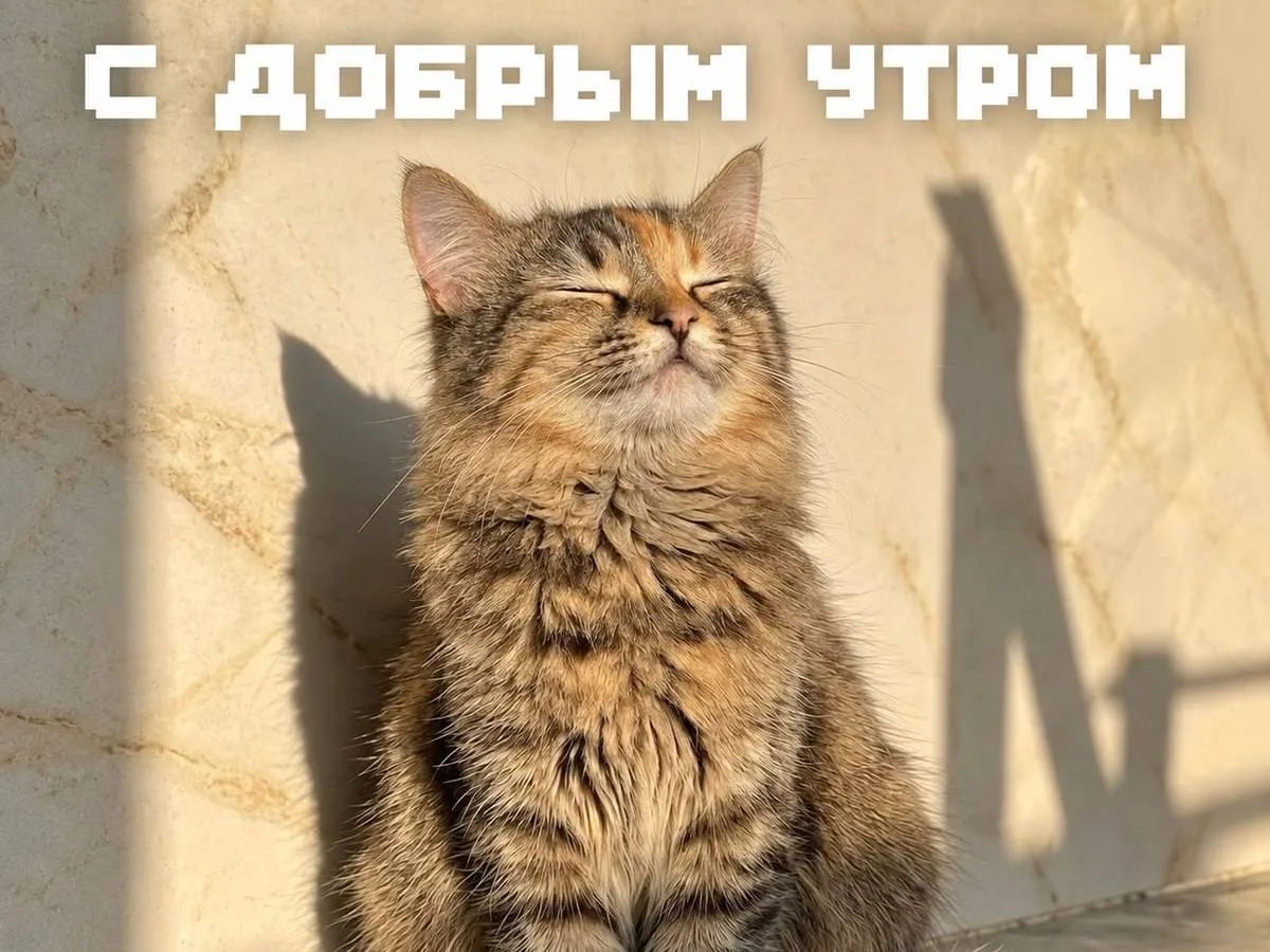 🌸 Утро в Москве — время начинать заново