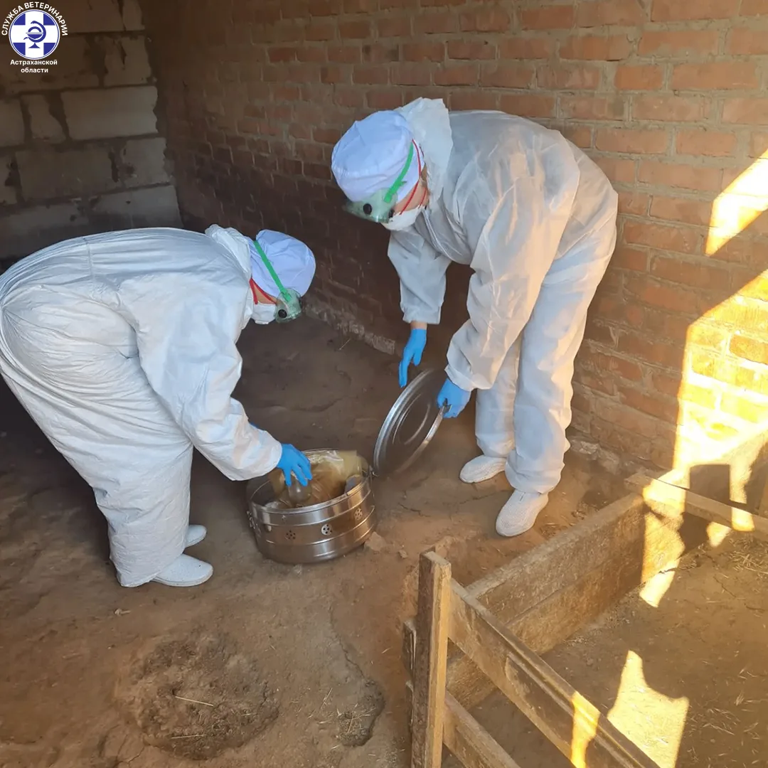 Учения в Икрянинском районе: ветслужба показала готовность к ЧС