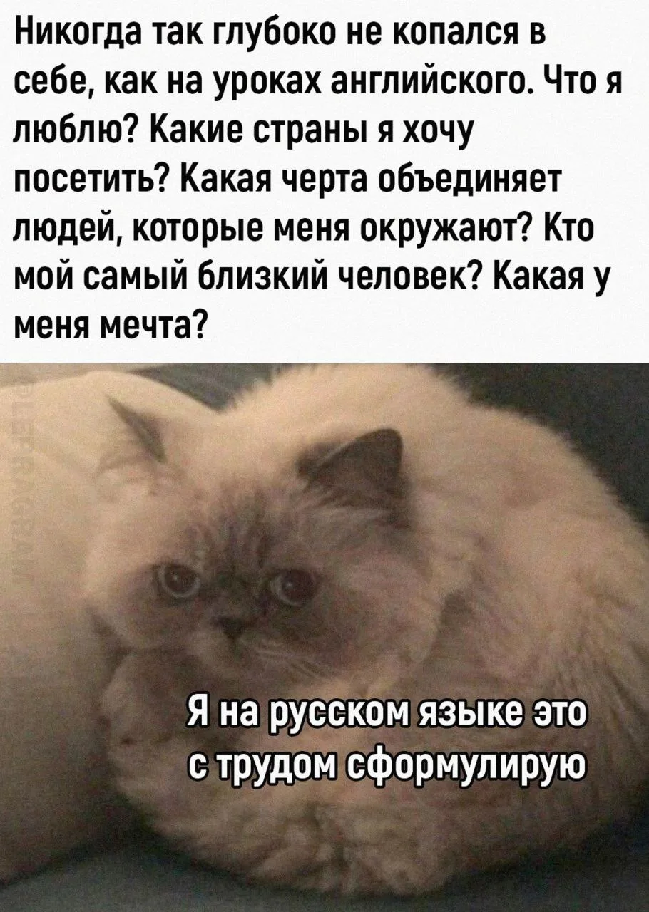Доброе утро, друзья❤️