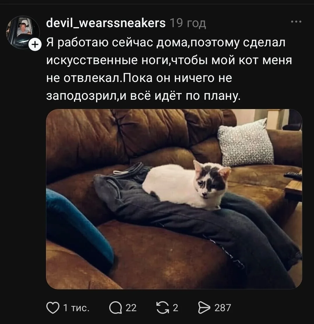 Но уже начинает что-то подозревать⁠