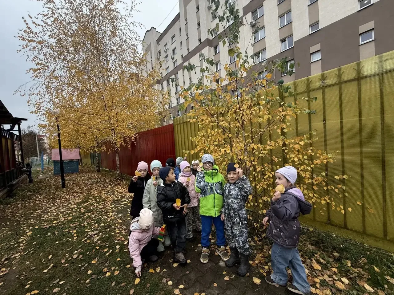 Рассказ  о березе, её значении в культуре и природе России очень заинтересовал воспитан...