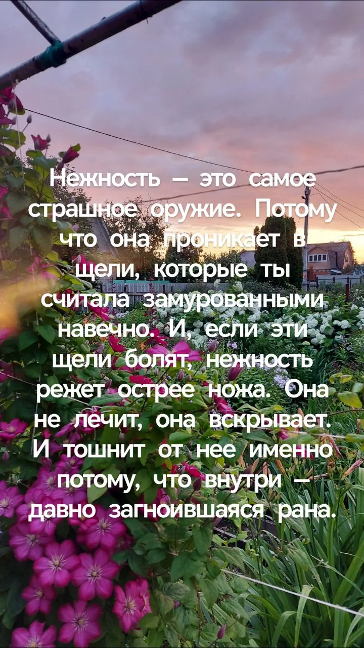 "Ненавижу нежность, это не про меня", "меня от неё тошнит", "грубость - моё всё".