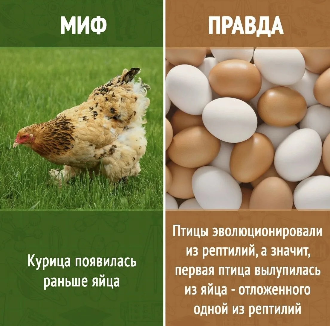 Прокачиваем мозги перед началом рабочей недели 💪🏼
