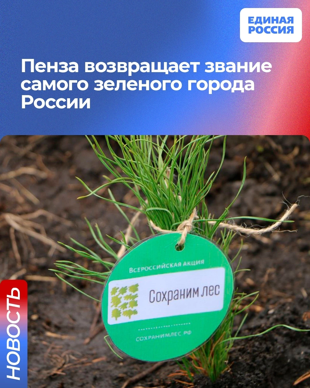 Пензенская область готовится к экологической акции «Сохраним лес», которая пройдет до 1...