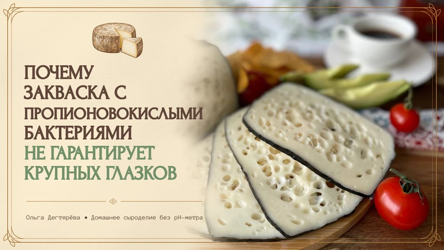 ПОЧЕМУ ЗАКВАСКА С ПРОПИОНОВОКИСЛЫМИ БАКТЕРИЯМИ НЕ ГАРАНТИРУЕТ КРУПНЫХ ГЛАЗКОВ
