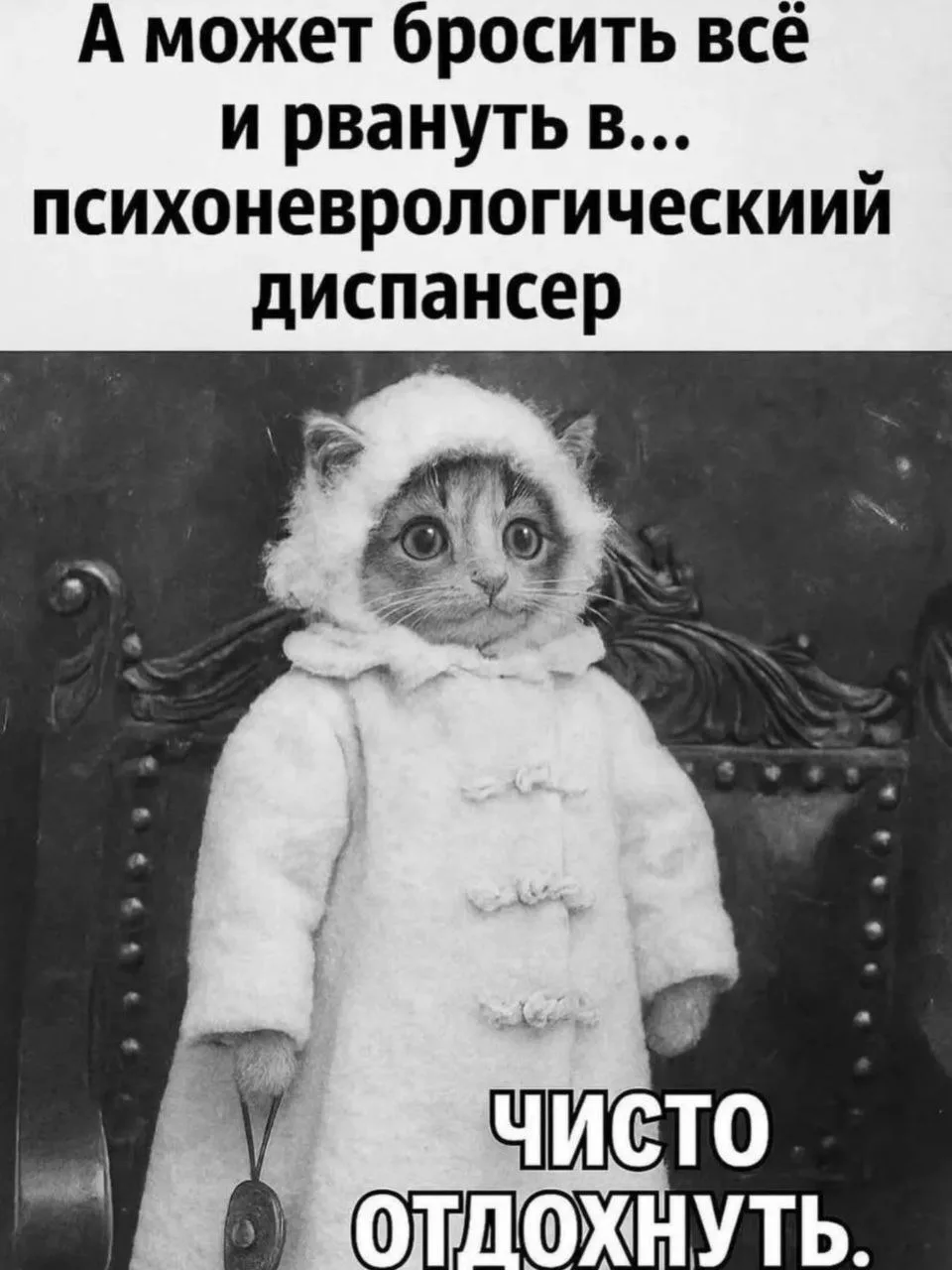 Спасибо за реакции — очень ценю!