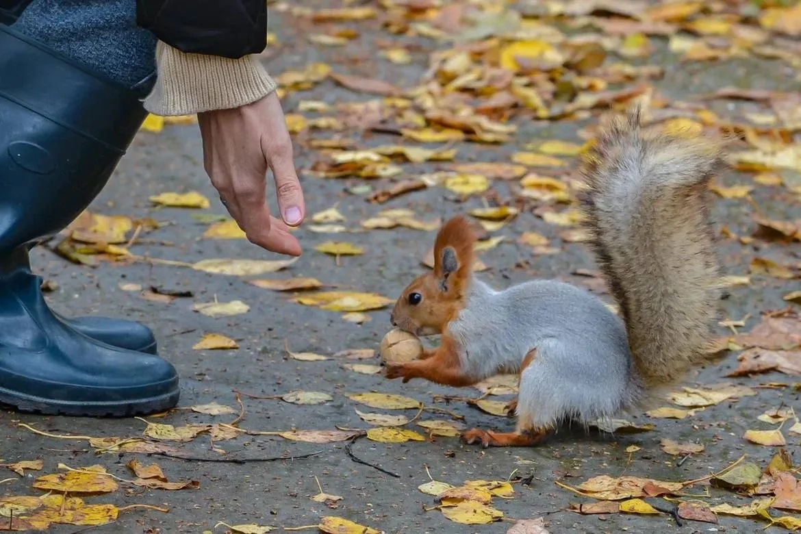 🍂 Осенняя атмосфера в парке «Юбилейный»