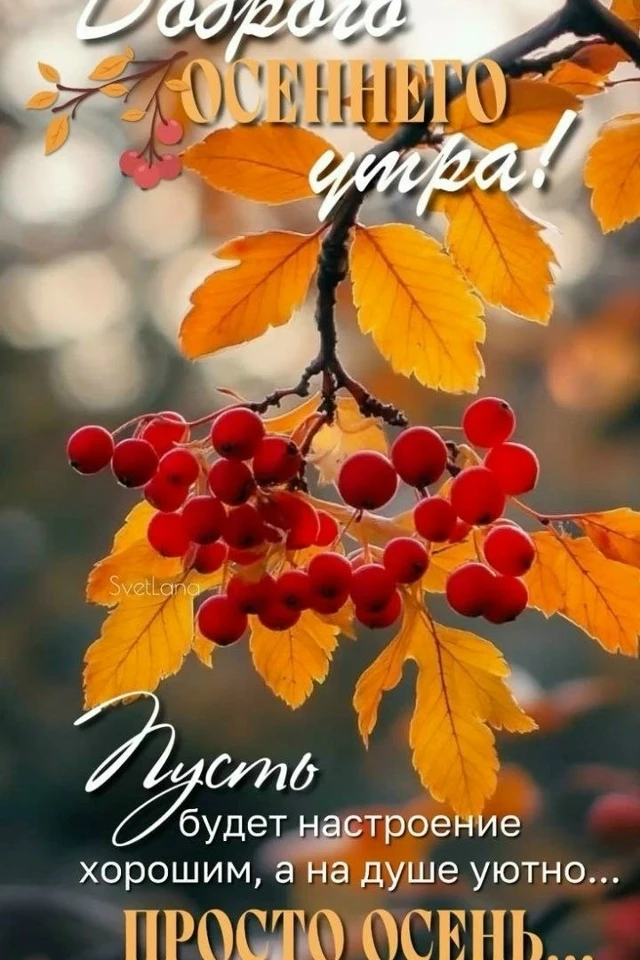 Доброе утро!
