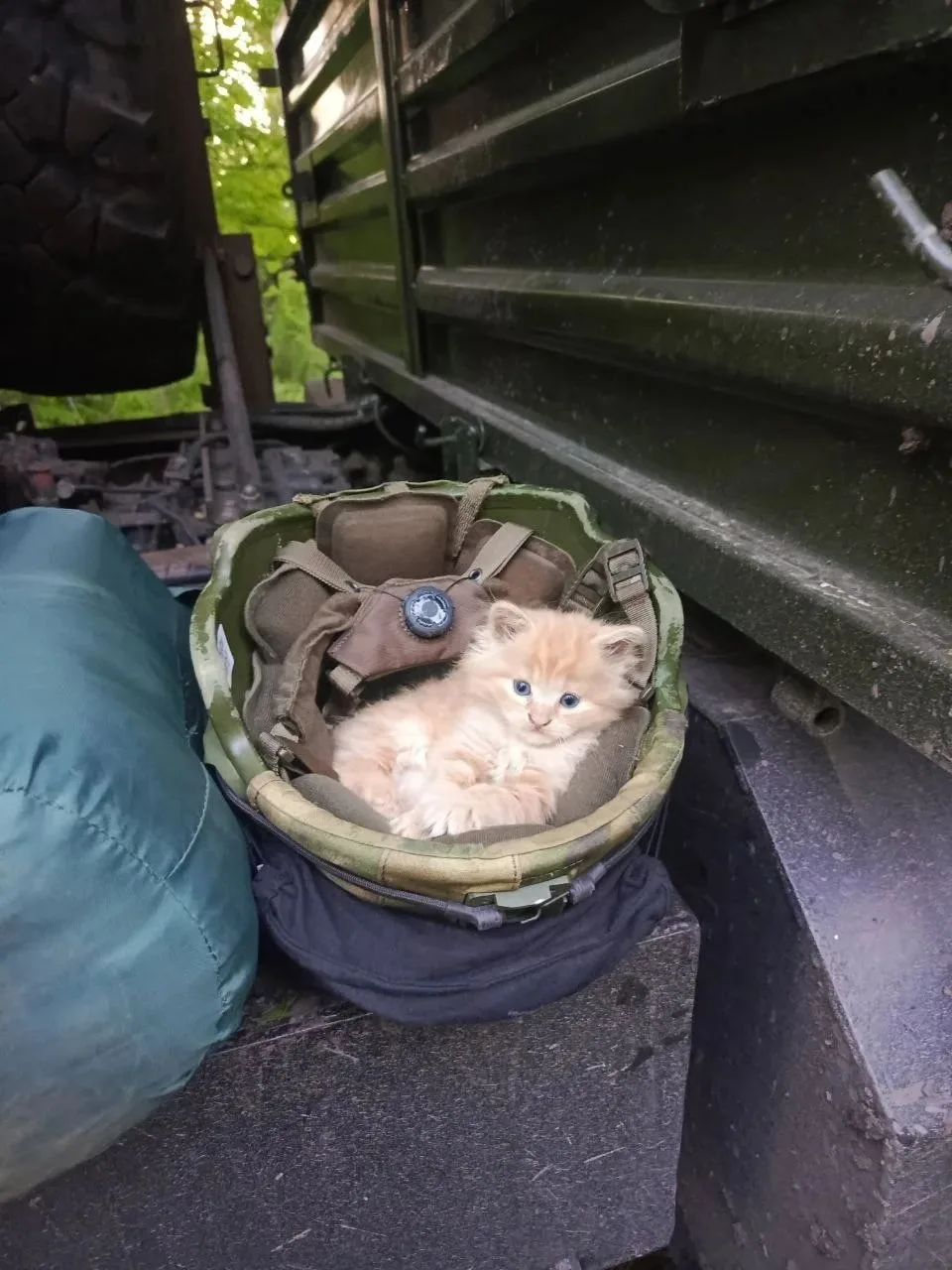 🐱 А у нас тут боец на заслуженном отдыхе!