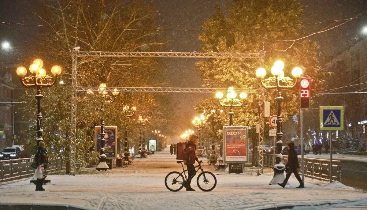🌨 На Алтайский край надвигаются снег и заморозки