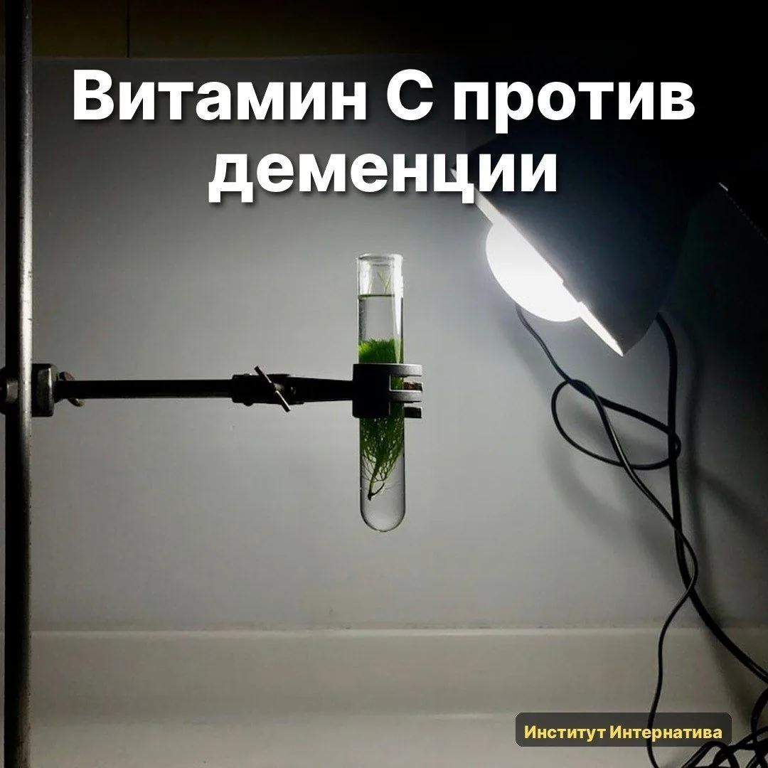 🧠 Вчера попалась работа на arXiv. Любопытная деталь, которая заставила меня пересмотре...