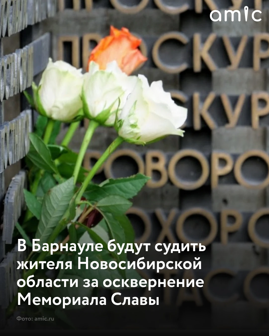 В Барнауле завершили расследование уголовного дела в отношении 30-летнего жителя Новоси...