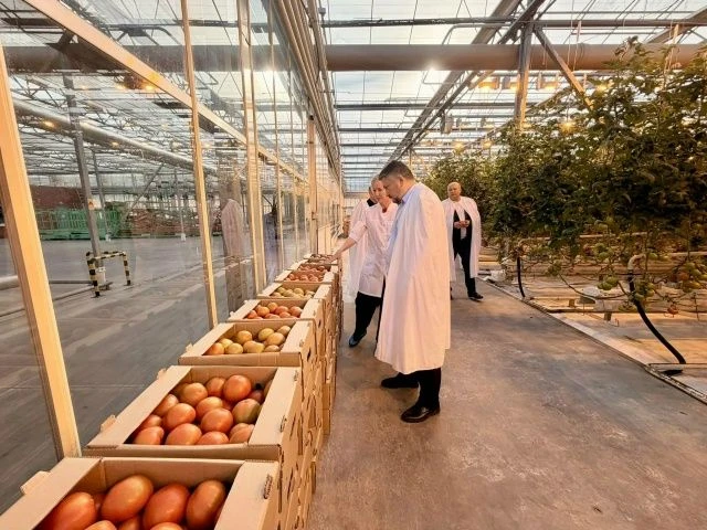 🌱 Глава Уфимского района оценил модернизацию теплиц совхоза «Алексеевский»