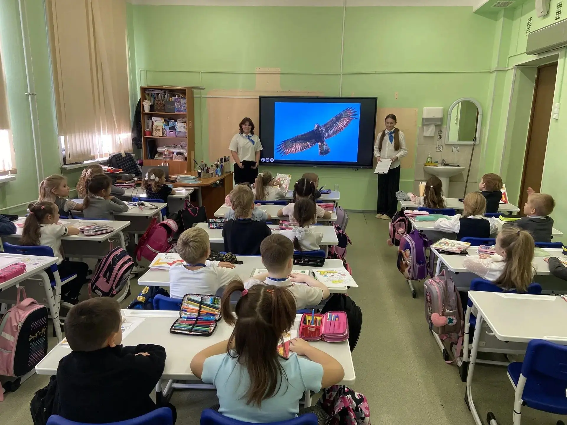 🦅 ВСЁ ОБ ОРЛЯТАХ