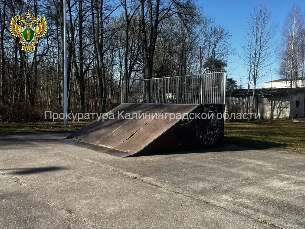 ⚖️ Пострадавшей на скейт-площадке в Краснознаменске девочке присудили 100 тысяч рублей