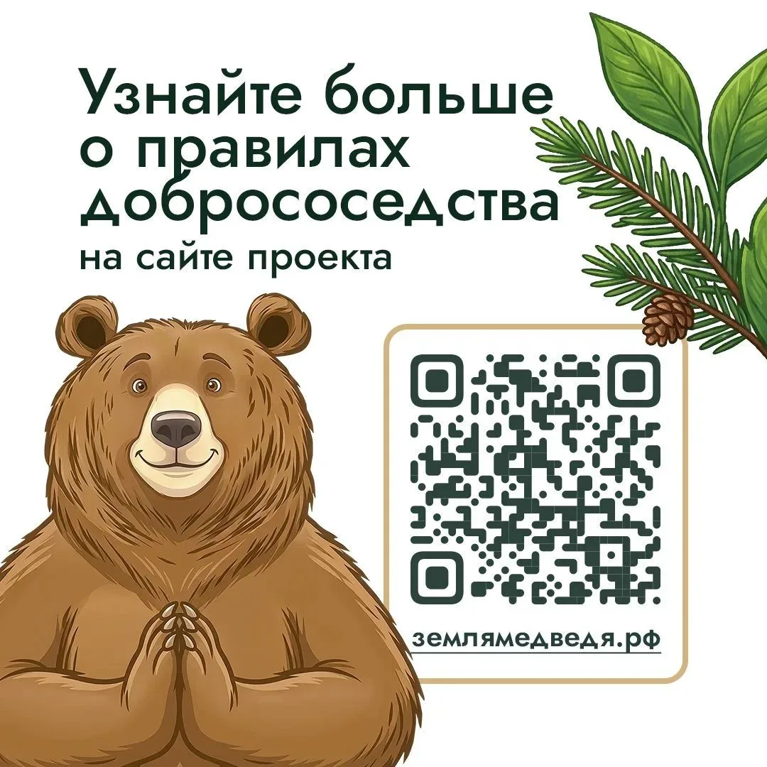 🐻 Что во дворе частного дома может понравиться медведю?