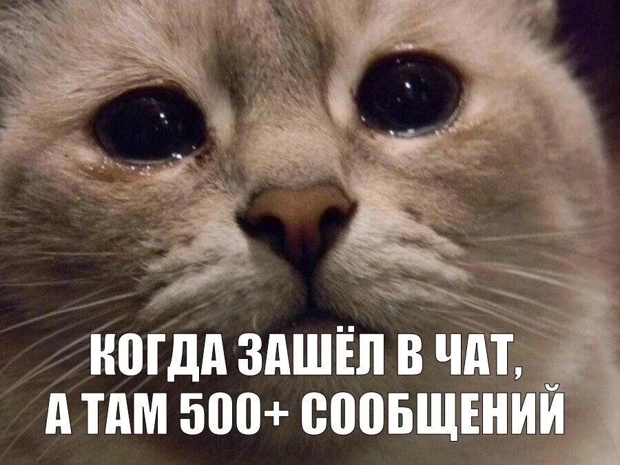 ❗Чаты жителей Пензы по районам: